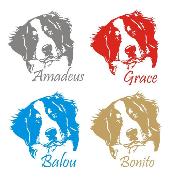 Berner Sennenhund Name Auto Aufkleber Sticker Hund A060