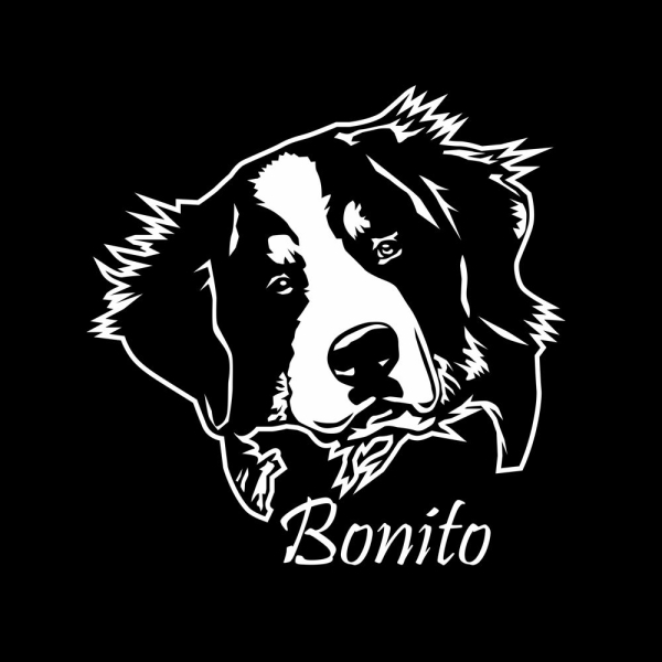 Berner Sennenhund Name Auto Aufkleber Sticker Hund A060