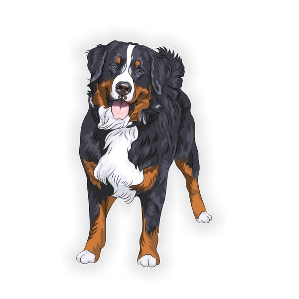 Autoaufkleber Berner Sennenhund Auto Aufkleber Pfoten Sticker Digitaldruck DA523