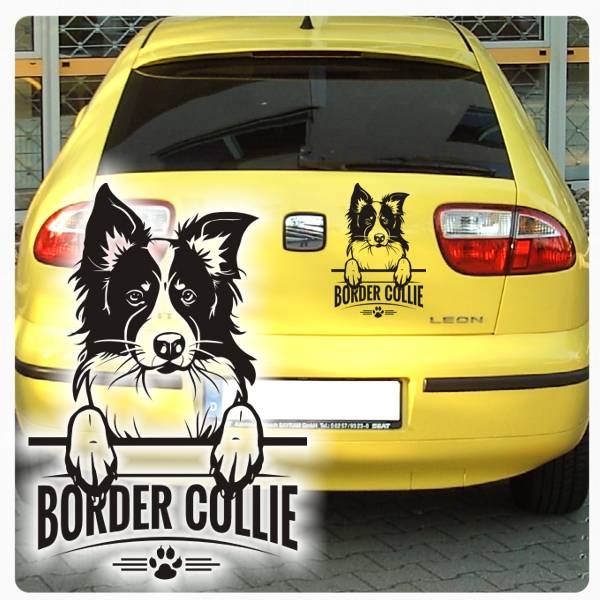 Border Collie Sticker Auto Aufkleber Hundeaufkleber A644