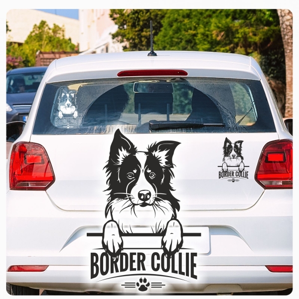 Border Collie Sticker Auto Aufkleber Hundeaufkleber A644