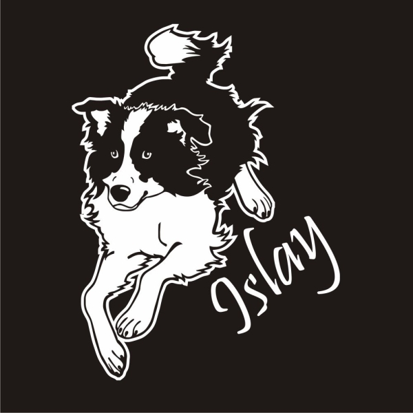 Border Collie Name Auto Aufkleber Autoaufkleber Sticker A1092