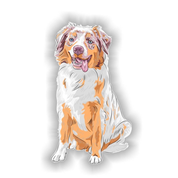 Digitaldruck Auto Aufkleber Border Collie Hundeaufkleber Sticker DA301