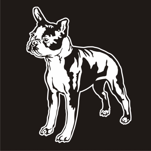 Auto Aufkleber Boston Terrier Sticker Hunde Hundeaufkleber A451