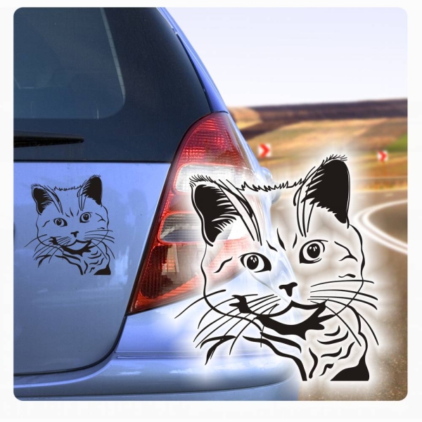 Katzen  Aufkleber Britisch Kurzhaar Autoaufkleber Auto Aufkleber Sticker Rassekatzen Katze A444