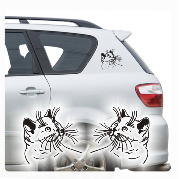 2 er SET Katzenaufkleber Britisch Kurzhaar Autoaufkleber Auto Aufkleber Sticker Rassekatzen A520