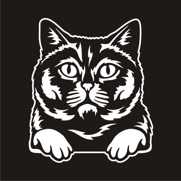 Britisch Kurzhaar Katze Kitty Auto Aufkleber Autoaufkleber Sticker Aufkleber A1142