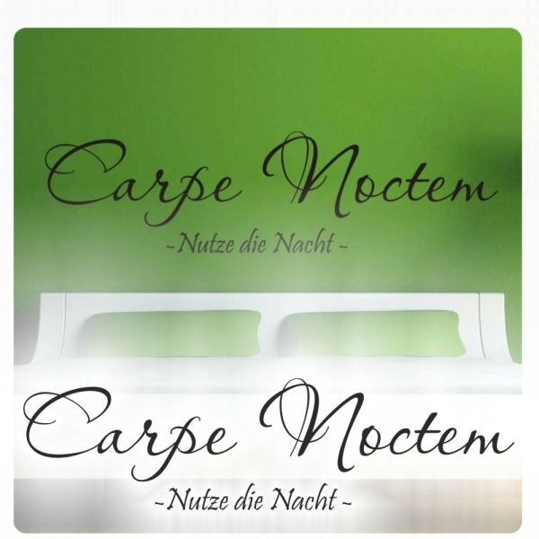 Carpe Noctem Nutze die Nacht Wandtattoo Lounge W1027