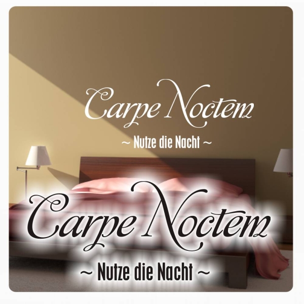 Carpe Noctem Wandtattoo Wandaufkleber Nutze die Nacht W628