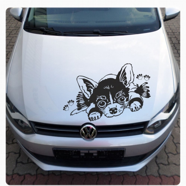 Auto Aufkleber Chihuahua Autoaufkleber Hunde Sticker Pfoten Motorhauben A1206