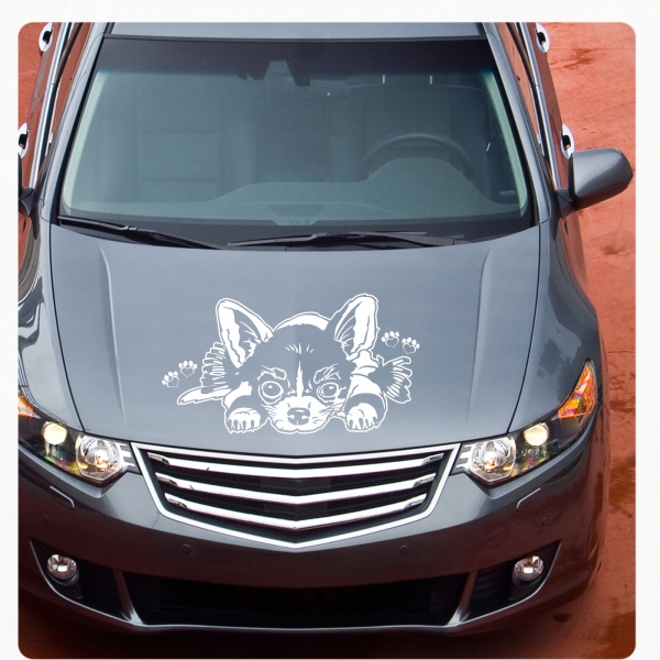 Auto Aufkleber Chihuahua Autoaufkleber Hunde Sticker Pfoten Motorhauben A1206