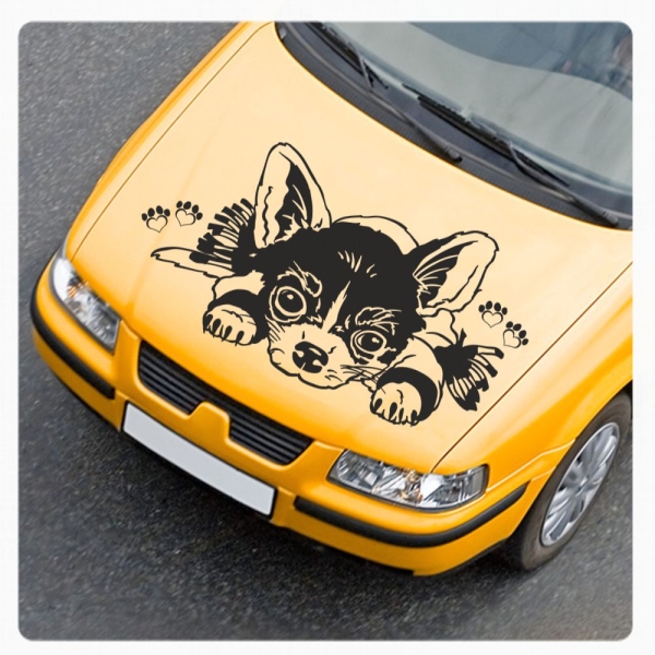 Auto Aufkleber Chihuahua Autoaufkleber Hunde Sticker Pfoten Motorhauben A1206
