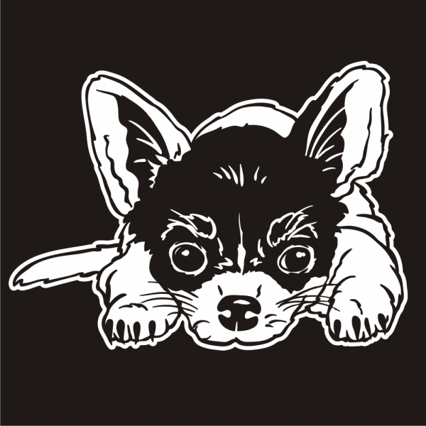 Auto Aufkleber Chihuahua Autoaufkleber Hund A1310