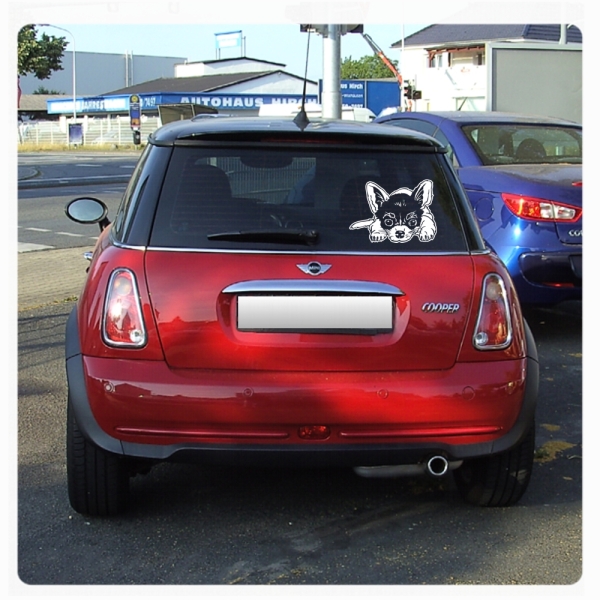 Auto Aufkleber Chihuahua Autoaufkleber Hund A1310