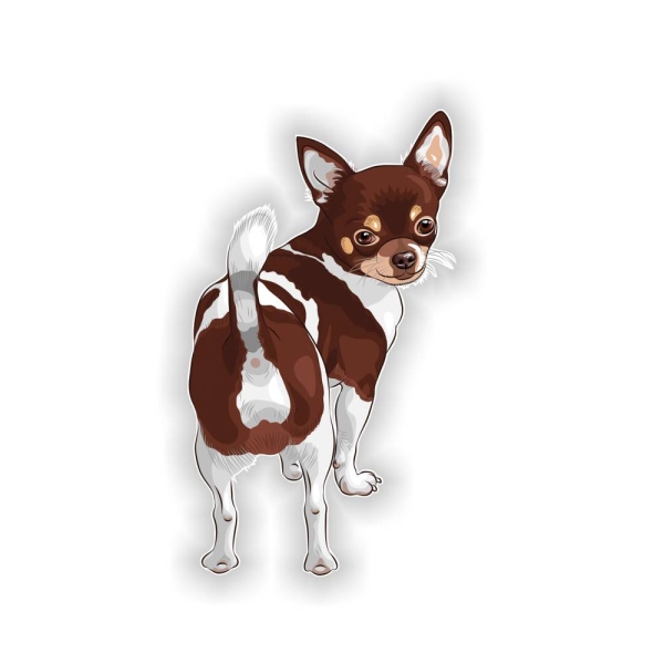 Auto Aufkleber Chihuahua Autoaufkleber Hund Pfoten Sticker Digitaldruck DA012