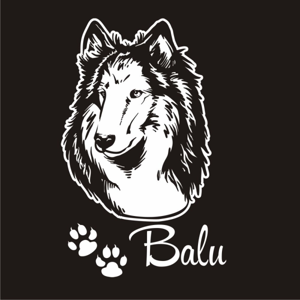 Hundeaufkleber Collie Auto Aufkleber Autoaufkleber Sticker A269