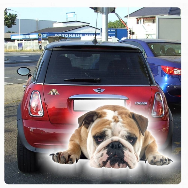 Englische Bulldogge Autoaufkleber Auto Aufkleber Sticker Digitaldruck DA2010