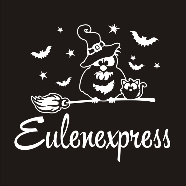 Eule Hexe Katze Eulenexpress Auto Aufkleber Sticker Sterne Autoaufkleber A1147