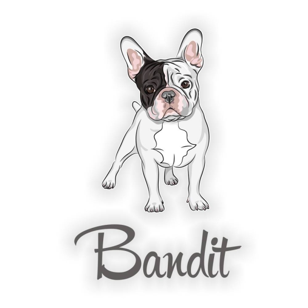 Türaufkleber Französische Bulldogge Name Digitaldruck Wandtattoo Türtattoo DT069