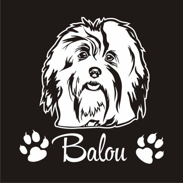 Hundeaufkleber Malteser Havaneser Bologneser Bolonka Autoaufkleber A363