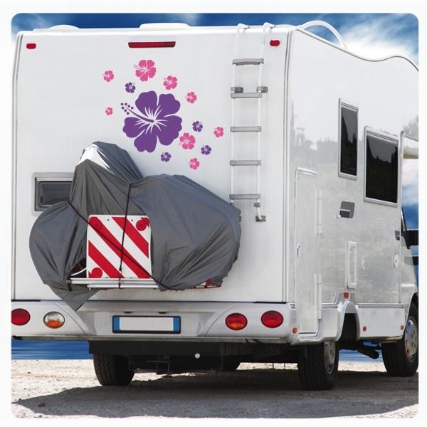 Hibiskus Blumen Blüten 2 farbig Wohnmobil Aufkleber Wohnwagen Caravan Sticker WoMo014