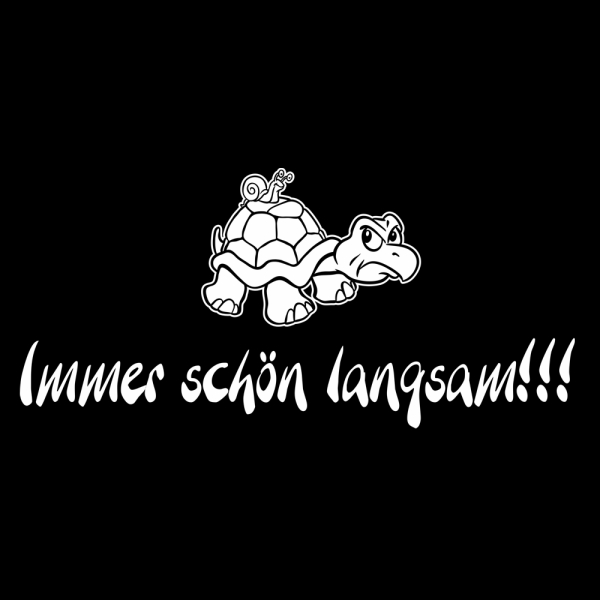 Wohnmobil Aufkleber Immer schön langsam Turtle Wohnwagen Sticker WoMo Caravan WoMo012