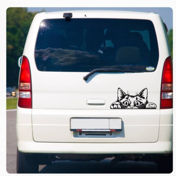 Auto Aufkleber Katze schaut raus Kätzchen Autoaufkleber clickstick A731