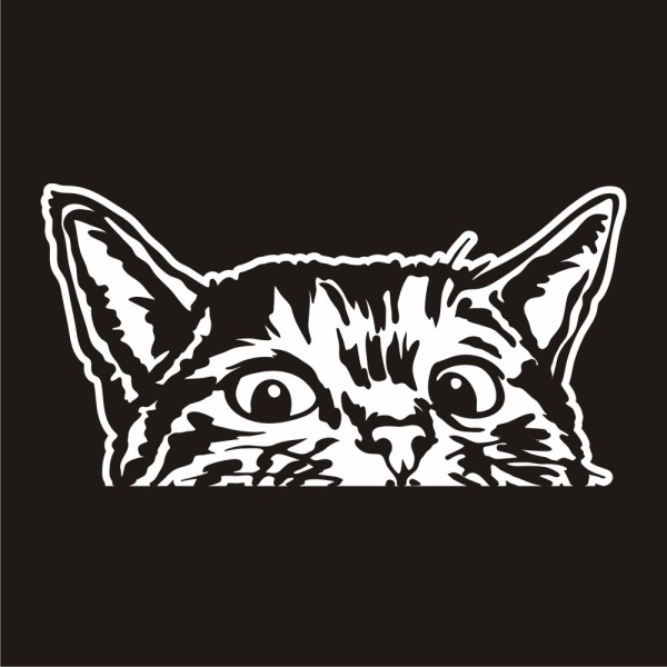 Auto Aufkleber Katze schaut raus Kätzchen Autoaufkleber clickstick A599