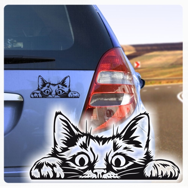 Auto Aufkleber Katze schaut raus Kätzchen Autoaufkleber clickstick A731