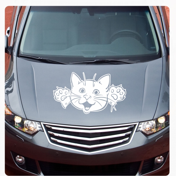 Katze Kätzchen Autoaufkleber Auto Aufkleber Sticker Tattoo A2065