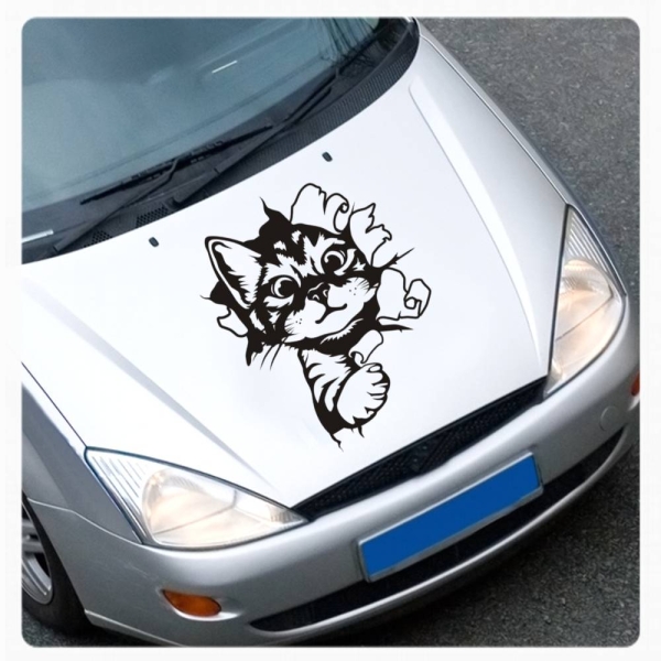 Katze Kitty schaut raus Auto Aufkleber Sticker Autoaufkleber A1727