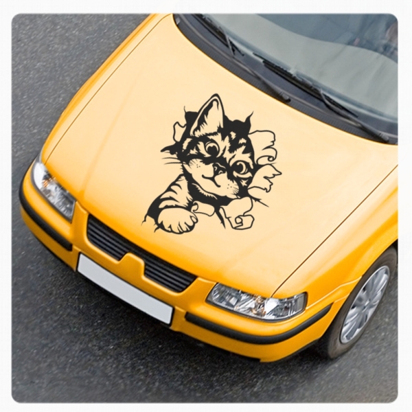 Katze Kitty schaut raus Auto Aufkleber Sticker Autoaufkleber A1727fkleber Sticker Autoaufkleber A3040