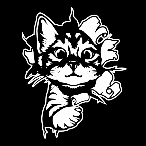 Katze Kitty schaut raus Auto Aufkleber Sticker Autoaufkleber A1727fkleber Sticker Autoaufkleber A3040