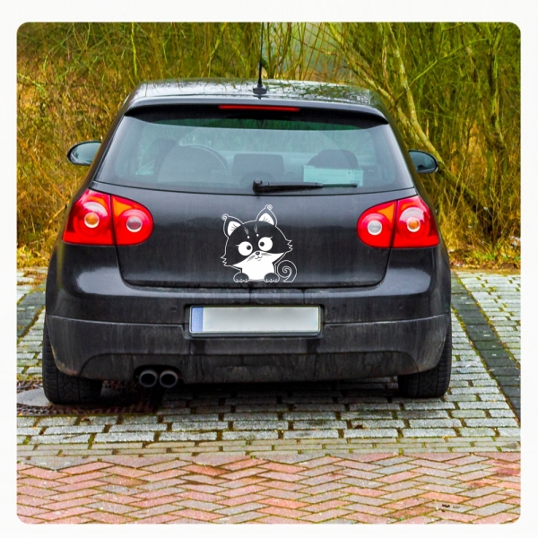 Katze Autoaufkleber Baby Kätzchen Auto Aufkleber Sticker A2066