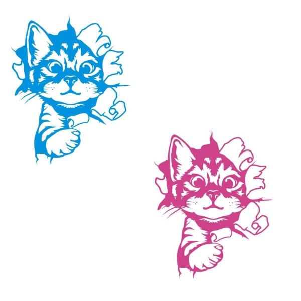 Katze Kitty schaut raus Wandtattoo Wandaufkleber W3041