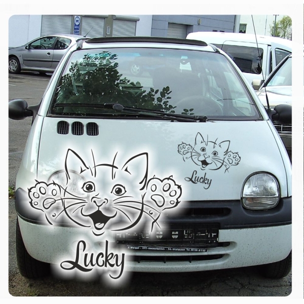 Autoaufkleber Name Katze Kätzchen Kitty Baby Pfoten Sticker Aufkleber Auto A607