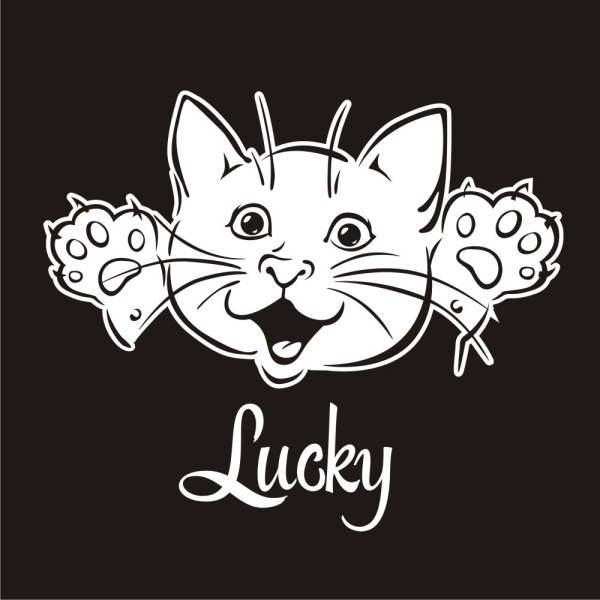 Autoaufkleber Name Katze Kätzchen Kitty Baby Pfoten Sticker Aufkleber Auto A607