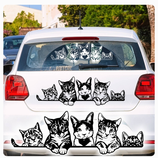 Katzen Kätzchen Kitty Pfoten Autoaufkleber Auto Aufkleber Sticker A859