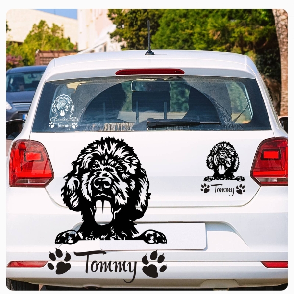 Labradoodle Name Pfoten Autoaufkleber Auto Aufkleber Sticker A796