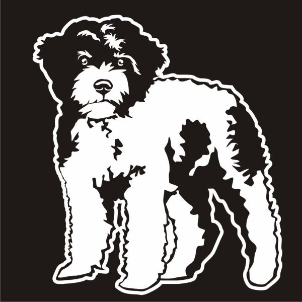 Hundeaufkleber Lagotto Romagnolo Autoaufkleber A365