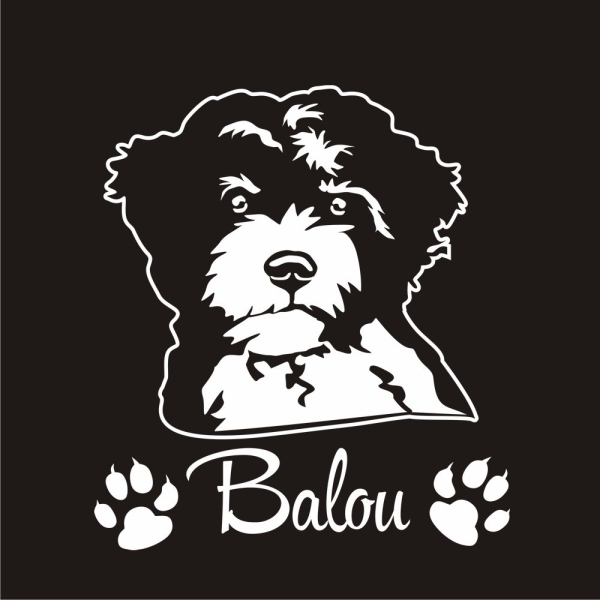 Hundeaufkleber Lagotto Romagnolo Autoaufkleber A366