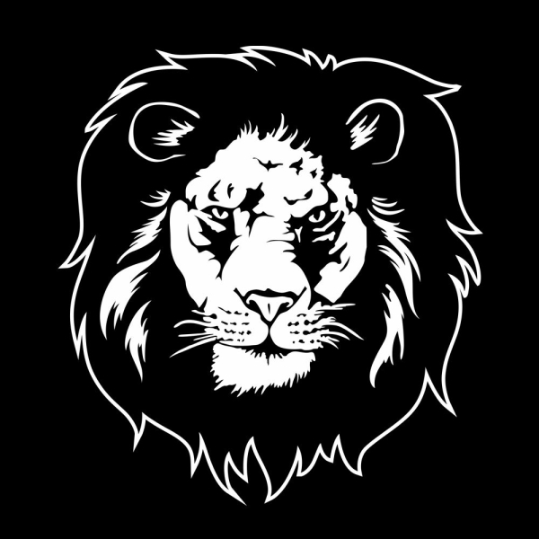 Tribal Löwe Autoaufkleber Auto Aufkleber Sticker Motorhauben Haube Lion A4028