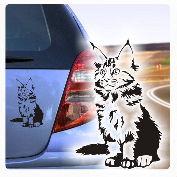 Autoaufkleber Katze Maine Coon Auto Aufkleber Rassekatze A351