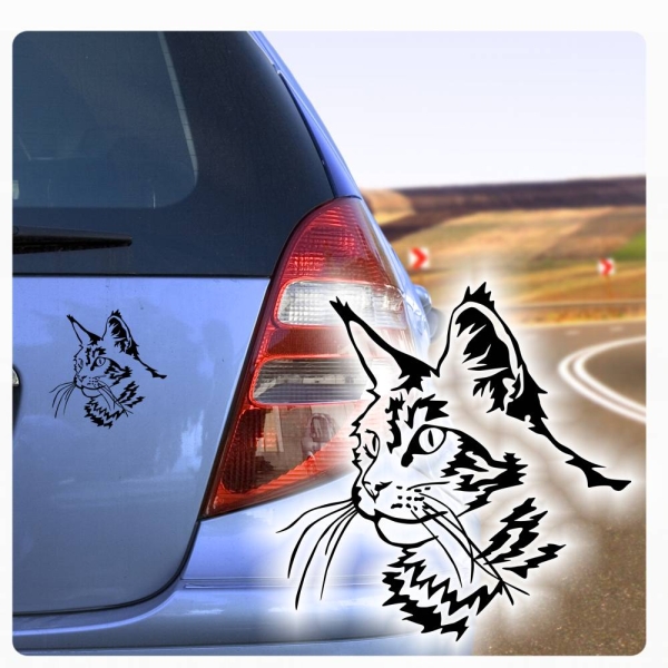 Autoaufkleber Katze Maine Coon Auto Aufkleber Rassekatze A584