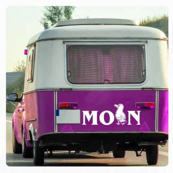 Moin Möwe Wohnmobil Wohnwagen Aufkleber Campervan Sticker Maritim Meer WoMo514