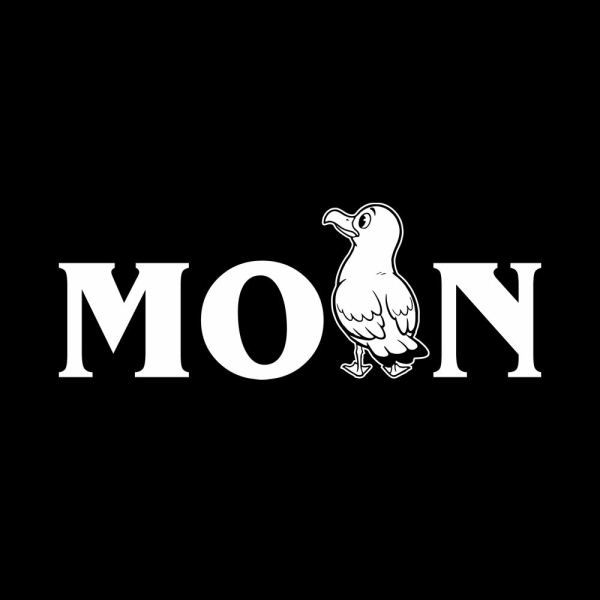 Moin Möwe Wohnmobil Wohnwagen Aufkleber Campervan Sticker Maritim Meer WoMo514