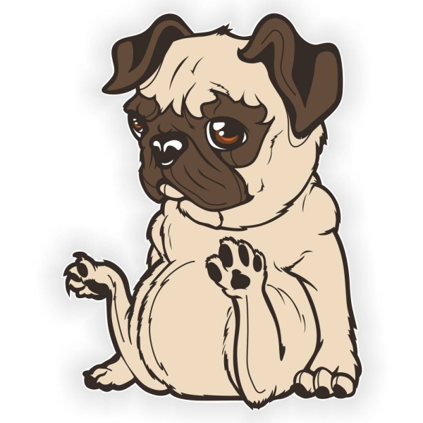 Mops Pug Auto Aufkleber Autoaufkleber Hundesticker Hundeaufkleber Tattoo DA2022