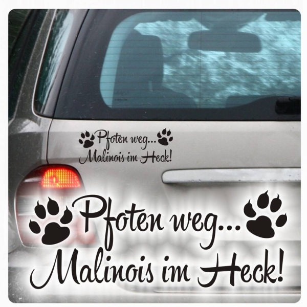 Pfoten weg... Malinois im Heck Auto Aufkleber Pfoten Autoaufkleber A2003