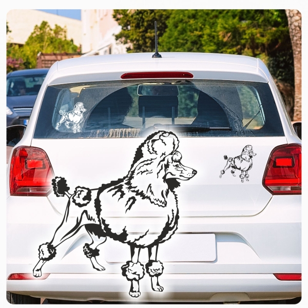 Hundeaufkleber Pudel Zwergpudel Königspudel Auto Aufkleber Sticker A522