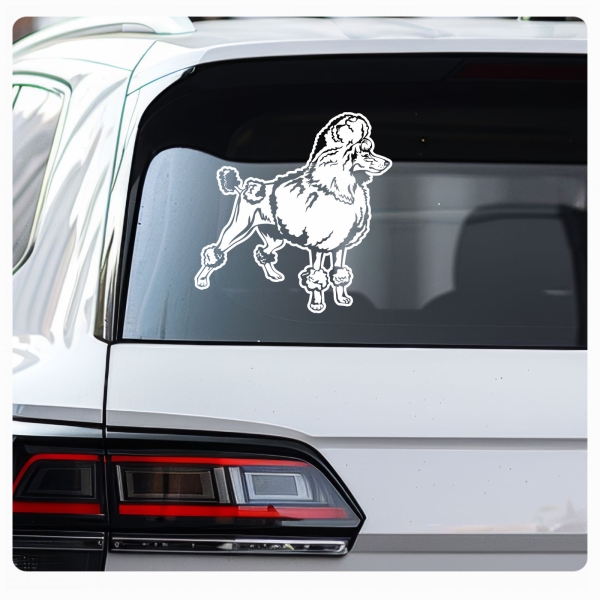 Hundeaufkleber Pudel Zwergpudel Königspudel Auto Aufkleber Sticker A522